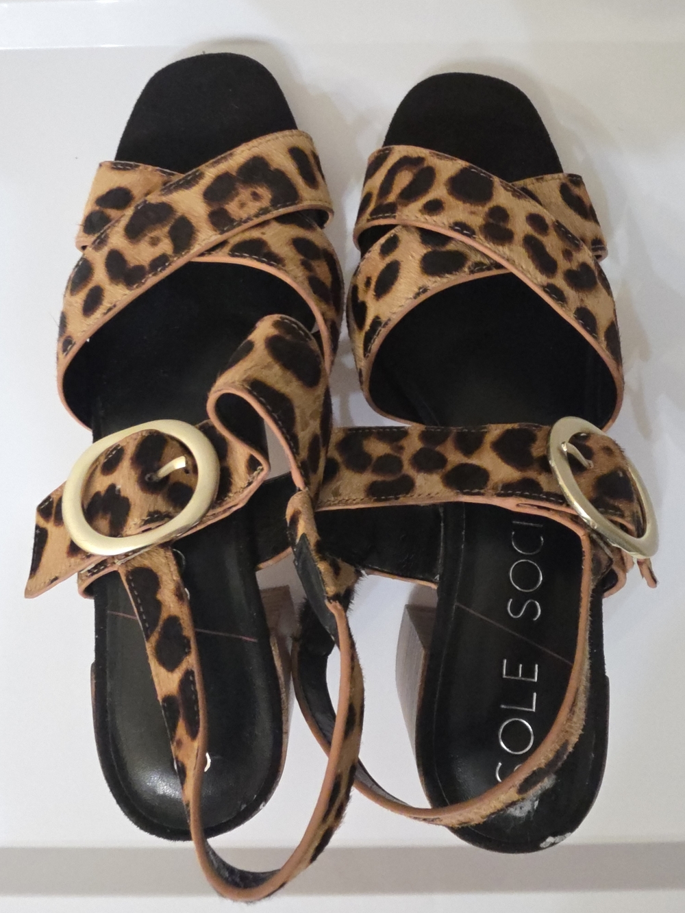 Sole Society Leopard Print Buckle Block Heel Sandals - Black/Tan